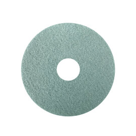 Diamantpad green 9", 229 x 22 mm Duomatic C43 E, EM, B, BM, BA et BMA, Discomatic Mambo et Robomatic Marvin photo du produit